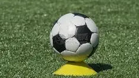 李宁战队归属揭秘