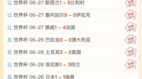 官网网页版 063031 7